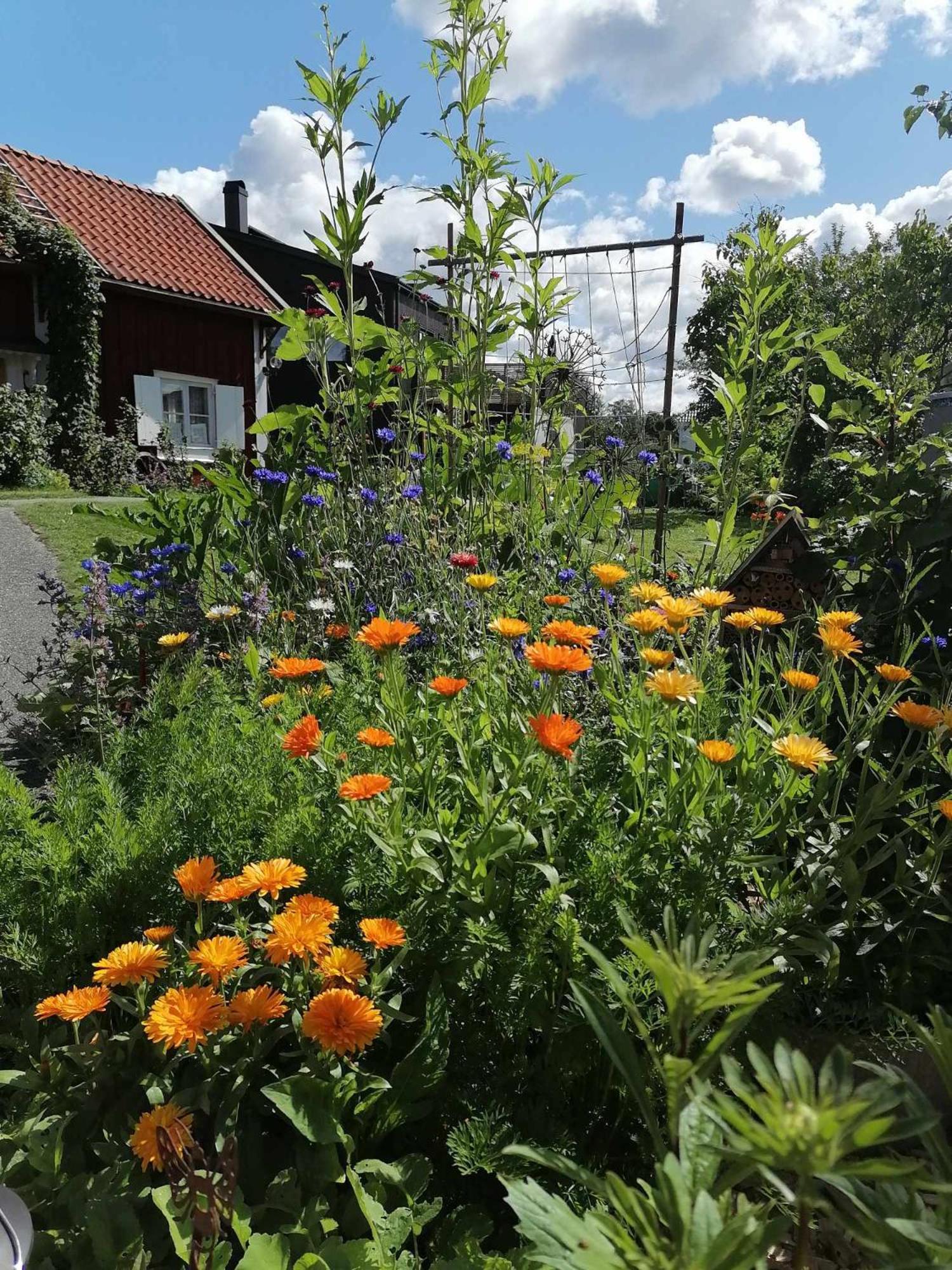 Rustik Stuga Med Lantlig Kaensla Naera Oerebro City Kültér fotó